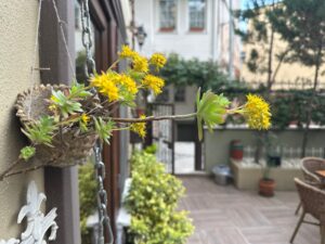 whatsapp image 2026 04 05 at 18.33.17 (3)